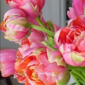 Meet your Posher, Delinda